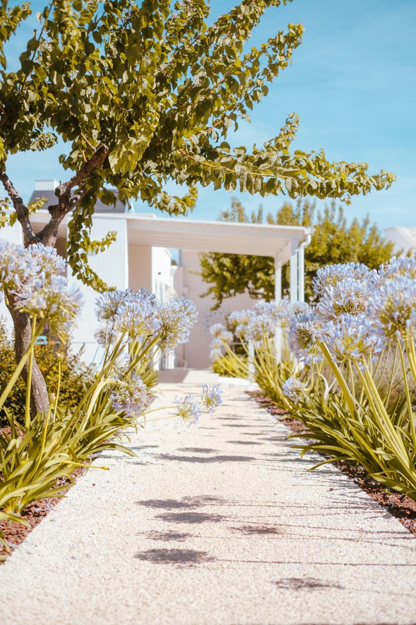 Iconica Luxury Suites Alberobello Exteriér fotografie